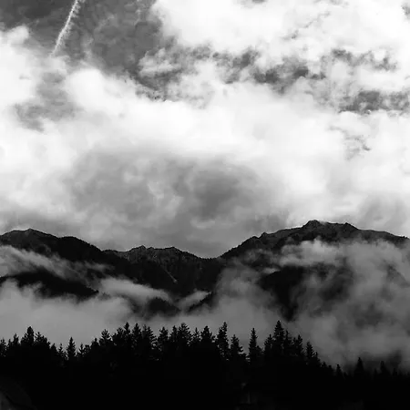 Alpen Hutte 別荘 ヘルマゴル